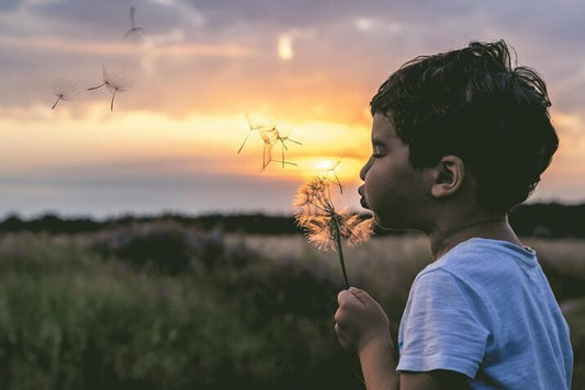 Helping an autistic child to Embracing Emotions