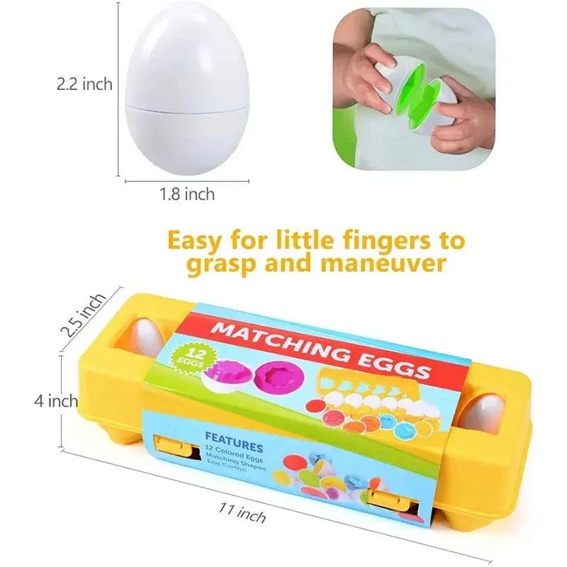 ShapeSorter Learning Eggs myHelestia
