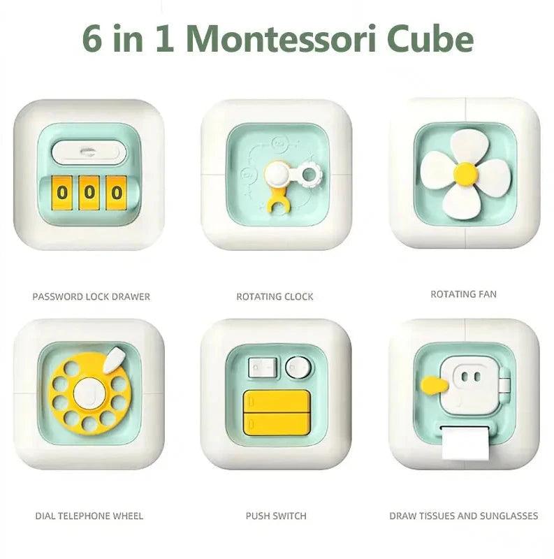 TinyExplorer Activity Cube My Helestia