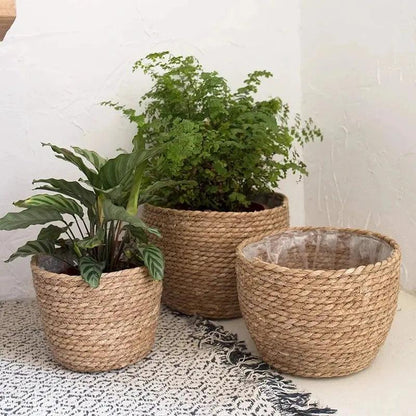 Serene Weave Plant Basket My Helestia 