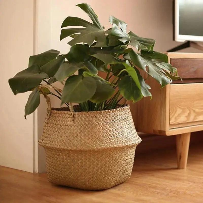 Serene Weave Plant Basket My Helestia 