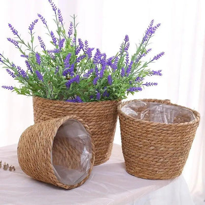 Serene Weave Plant Basket My Helestia 