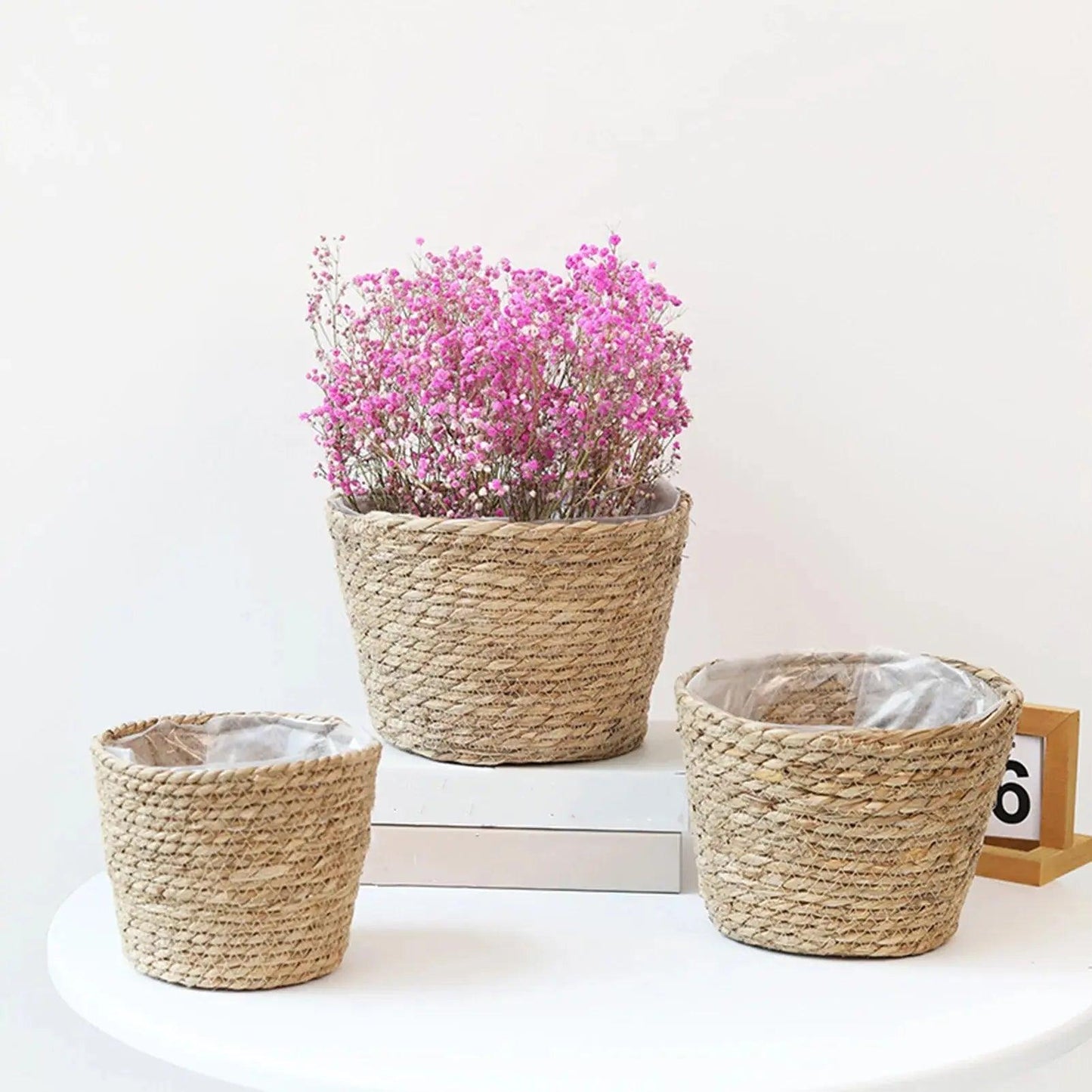 Serene Weave Plant Basket My Helestia 