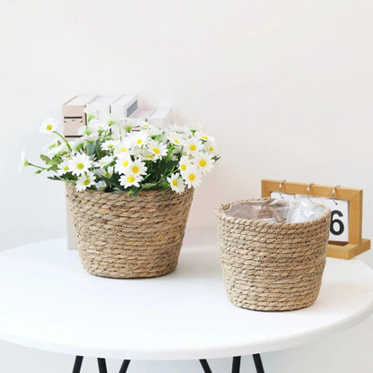 Serene Weave Plant Basket My Helestia 